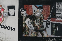 Vukovar Tigrovi