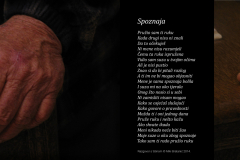 Razgovor-s-tišinom-Spoznaja